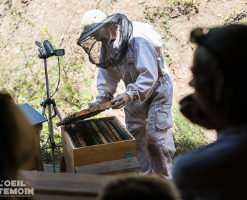 L'Arc en Miel: visita e inmersión al corazón del mundo de las abejas