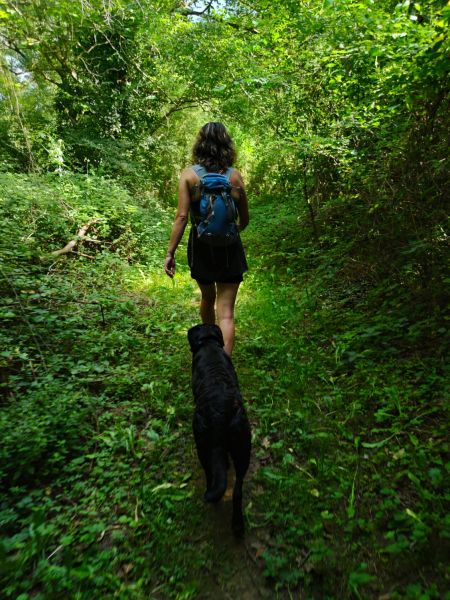 Randonnée avec son chien