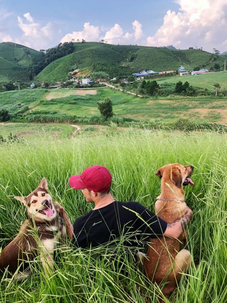 Randonnée avec son chien