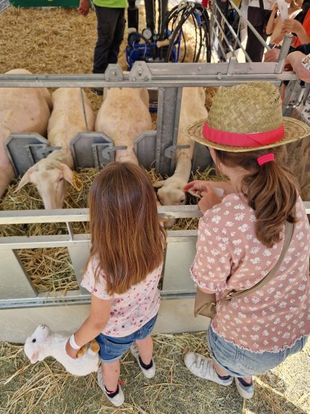 Les enfants découvrent les secrets du Roquefort