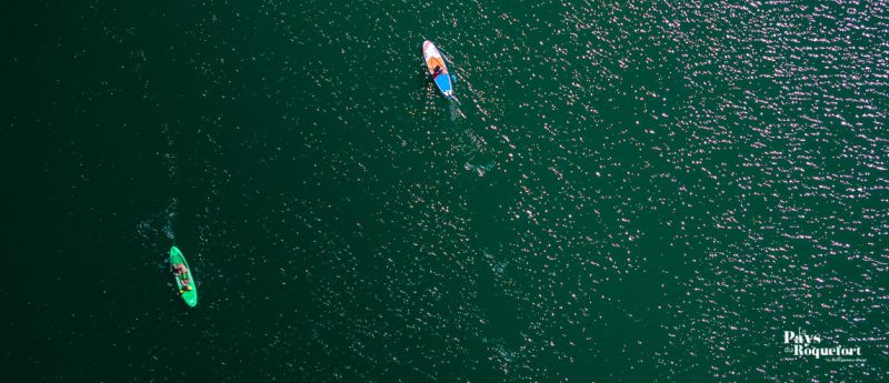 Paddle