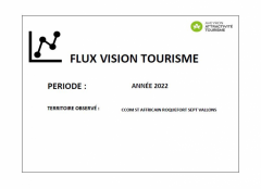 Flux Vision