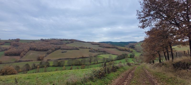 Nature et détente