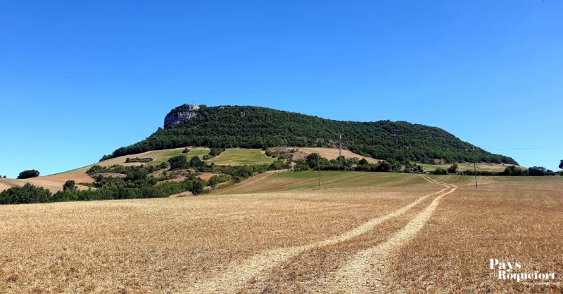 Butte de Sargel