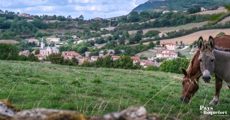 Saint-Jean-d'Alcapiès