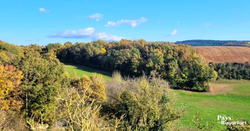 Vallée du Verzolet