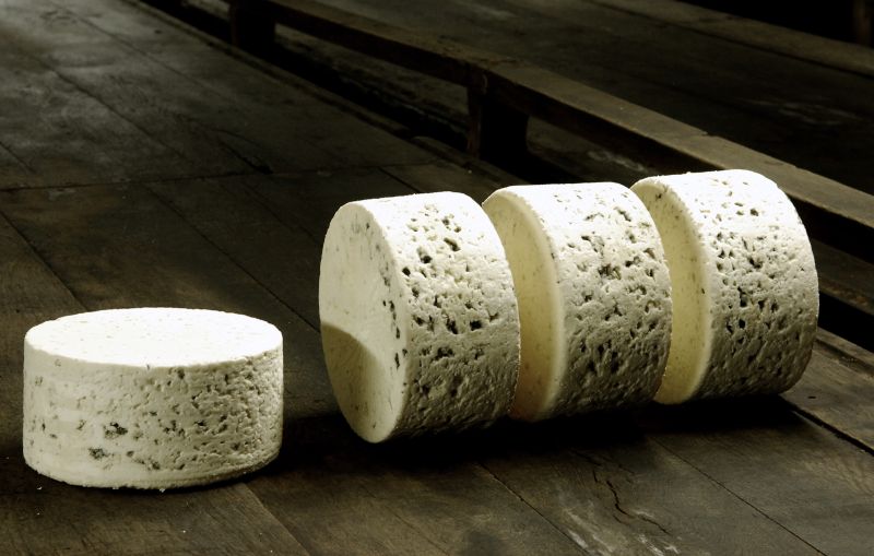 Dégustation Roquefort