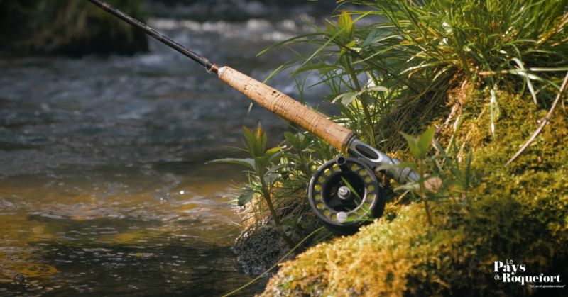 Pêche Sorgues