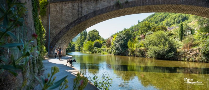 Quai de la Sorgues