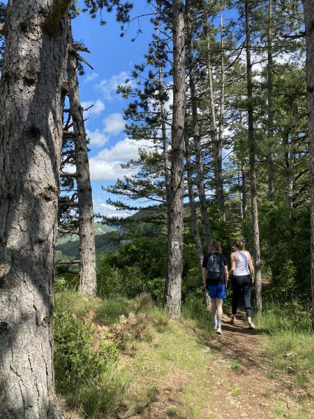 Sentier des échelles