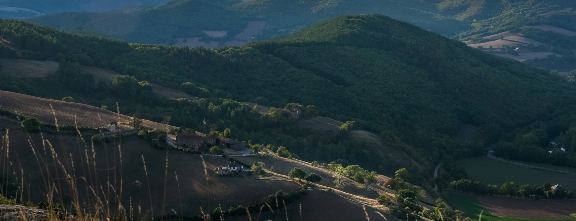 Prise de vue