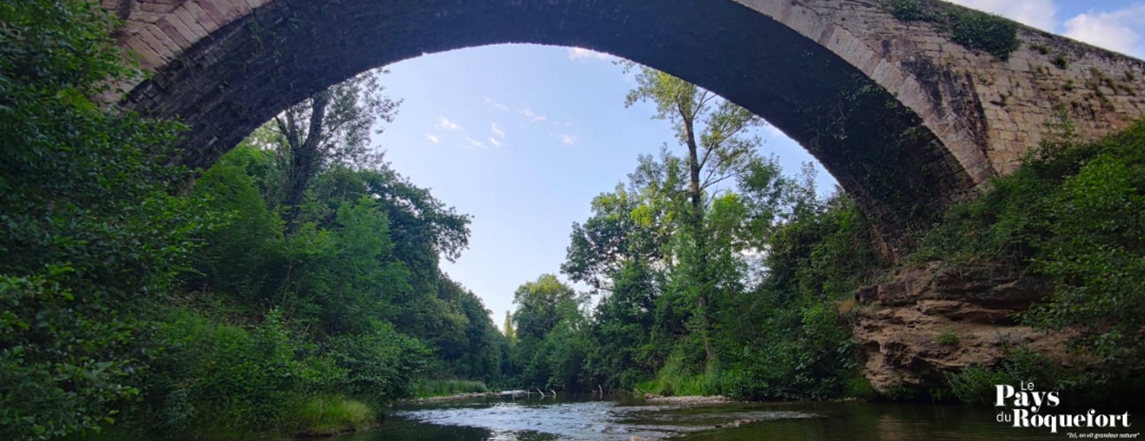 Pont Vieux