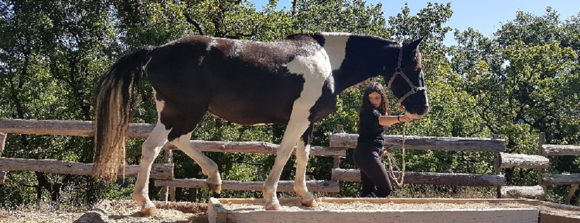 Ferme de Vispens