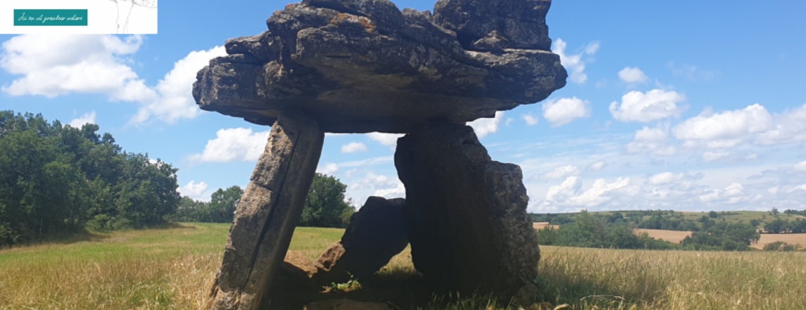 Dolmen de Tiergues