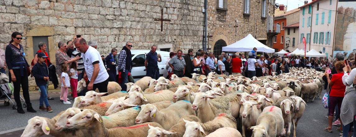 Roquefort en fête