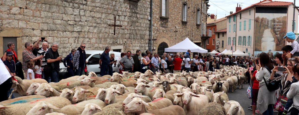 Roquefort en fête