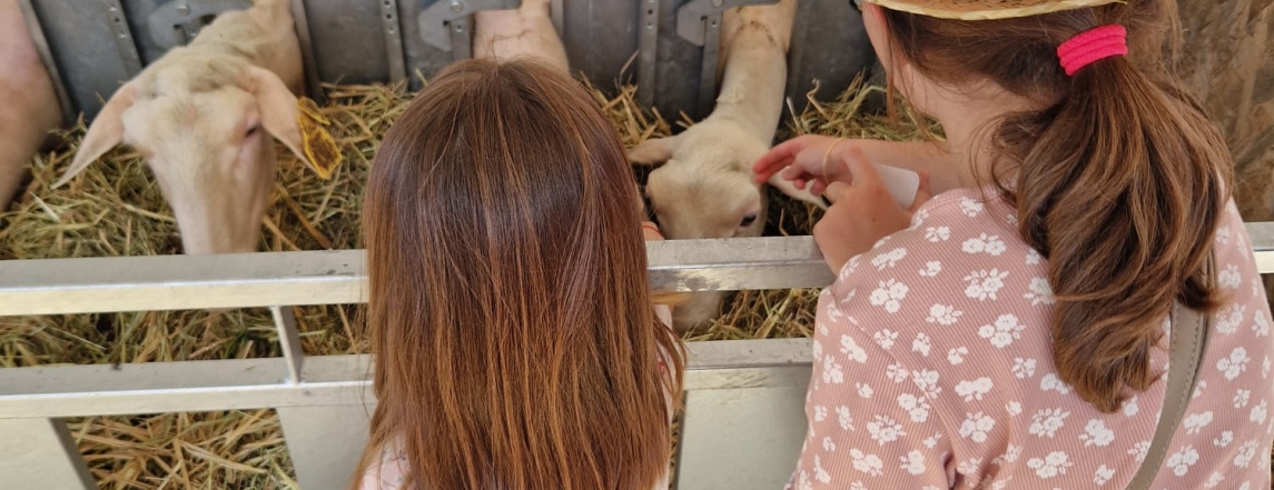 Le Roquefort en fête