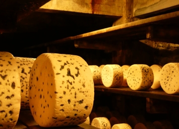 Visiter les caves