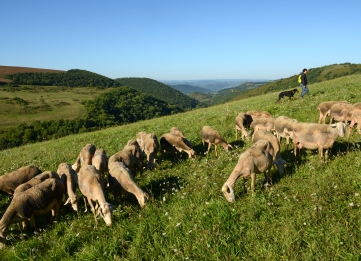 Visiter les fermes