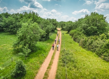 Nos idées VTT