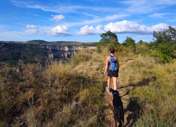 Avec mon chien