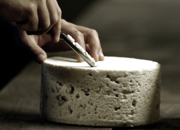 Roquefort : entre caves et fromage