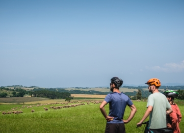 Brebis'Cyclette