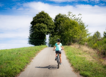 Getting Around Without a Car