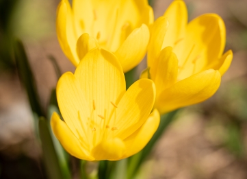 Our producers and artisans