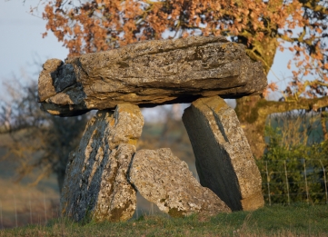 Carved standing stones  and megalithes