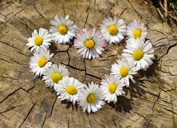 Nos coups de coeur