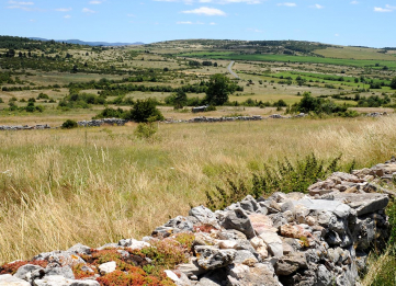 Le Causse du Larzac