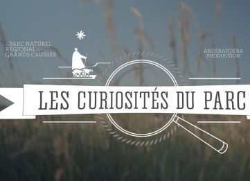 Teaser Les Curiosités du Parc