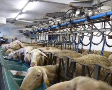 Ferme des Fleurines