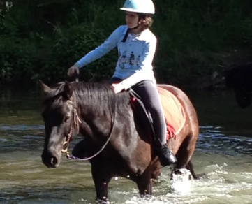 THE MUNICIPAL EQUESTRIAN CENTRE ST-AFFRIQUE