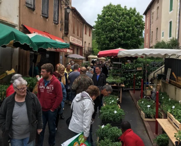 26 ème Rendez-vous Jardinier