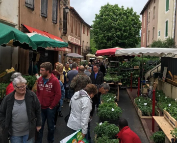 23ème Rendez-vous Jardinier