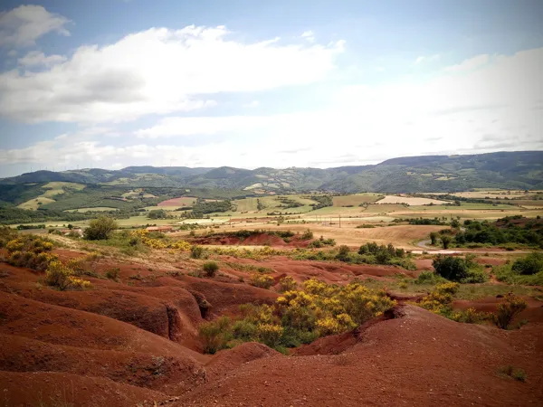 Itinérance au Pays du Roquefort