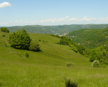 Chez Cyril Traiteur