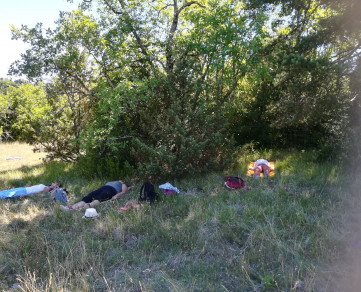 Relaxation sous les arbres
