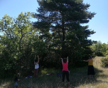 Respiration avec les arbres