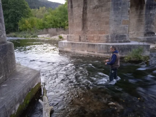 La Sorgues à Versols (lâchers de truites)