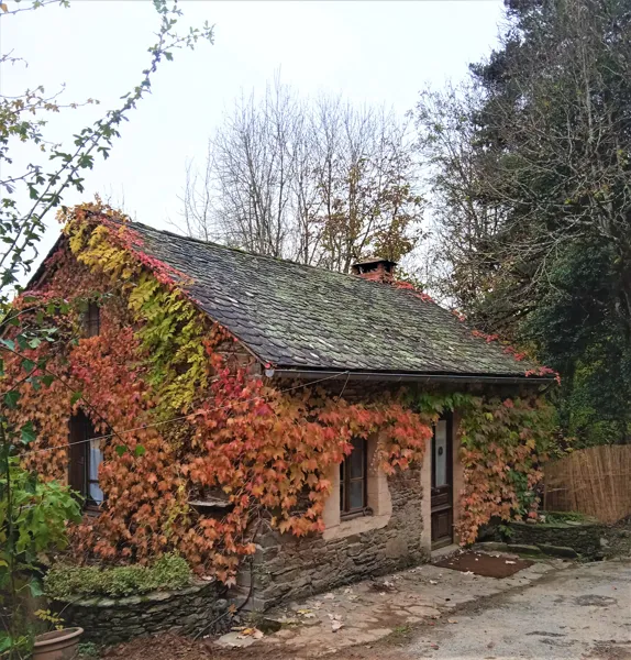Le gîte à l'Automne