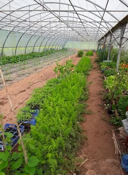 Au potager du Dourdou
