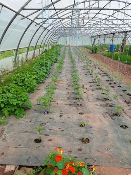 Au potager du Dourdou