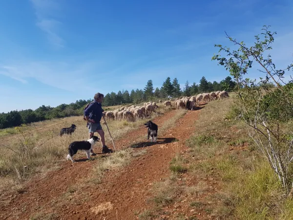 GAEC de Terre Blanc