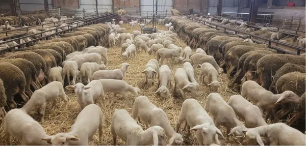 GAEC de Terre Blanc