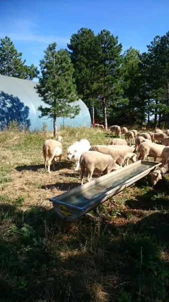 GAEC de Terre Blanc