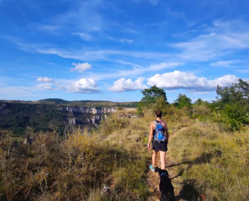 El Circo de Tournemire