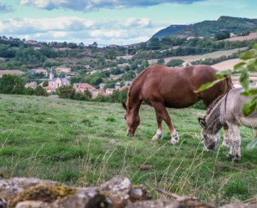 Le volcan des Causses